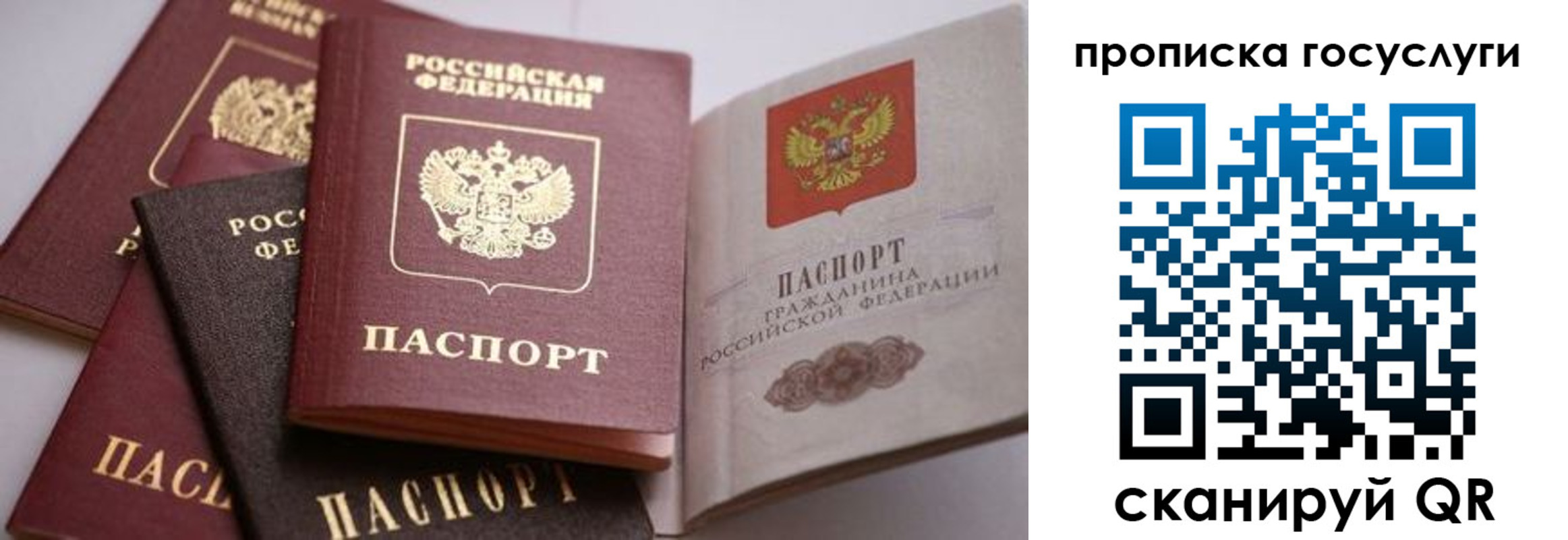 прописка иностранных граждан в Богородицке